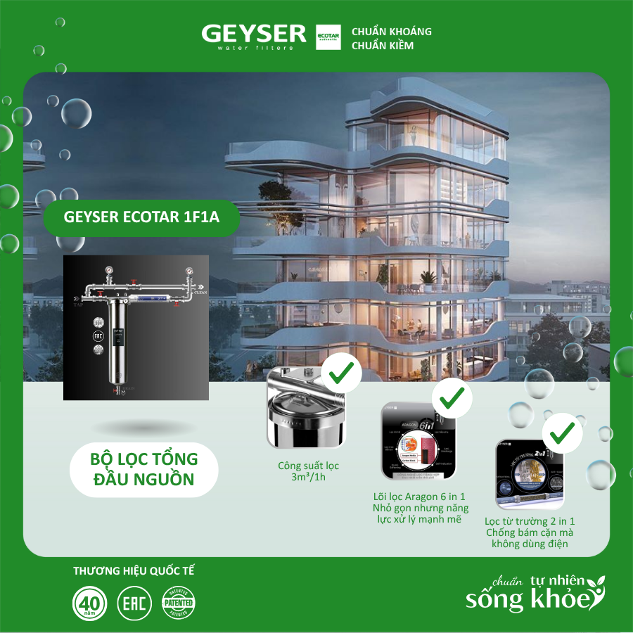Hệ thống lọc nước tổng đầu nguồn Geyser Ecotar 1F1A 