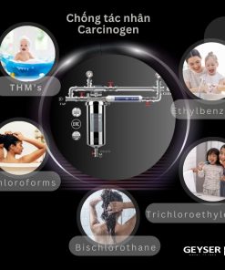 Bộ lọc nước tổng đầu nguồn mini Geyser Ecotar 1F1As