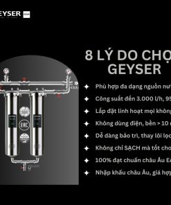 Hệ thống lọc nước tổng đầu nguồn Geyser Ecotar 2F