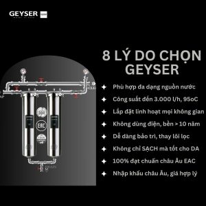 Hệ thống lọc nước tổng đầu nguồn Geyser Ecotar 2F