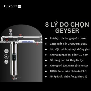 Lý do nên chọn lọc tổng đầu nguồn Geyser 1F1A