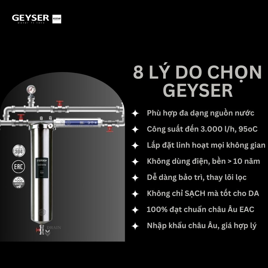 Lý do nên chọn lọc tổng đầu nguồn Geyser 1F1A 