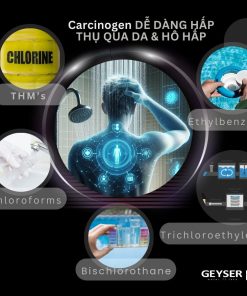 Hệ thống lọc nước tổng đầu nguồn Geyser Ecotar 1F2A