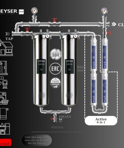 Hệ thống lọc nước tổng đầu nguồn Geyser Ecotar 2F4A