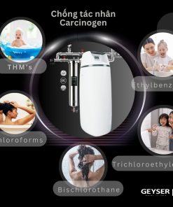 Lọc tổng đầu nguồn Geyser Ecotar 1F20S chống các tác nhân carcinogen
