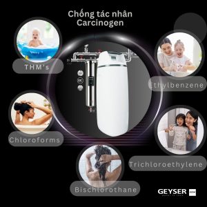 Lọc tổng đầu nguồn Geyser Ecotar 1F20S chống các tác nhân carcinogen