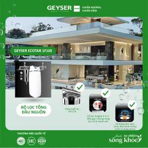 Lọc tổng đầu nguồn làm mềm nước Geyser Ecotar 1F10S